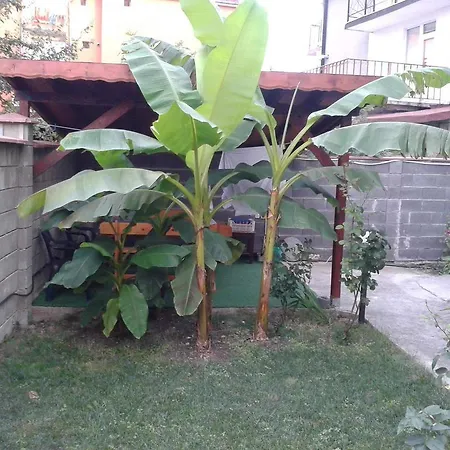 Pazderkovi 라브다